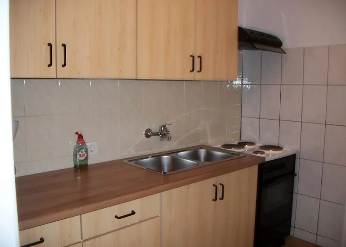 Erak Martin 波雷奇