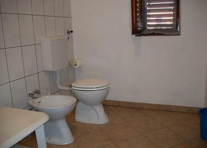 Erak Martin 波雷奇